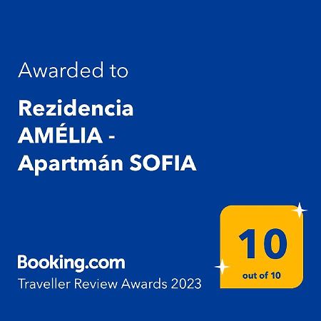 Rezidencia Amelia - Apartman Sofia Bardejovské Kúpele المظهر الخارجي الصورة